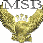 National Bureau of Merchant Services Logo