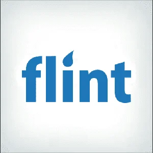 Flint Logo