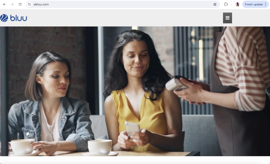 Screen Capture of Bluu Homepage