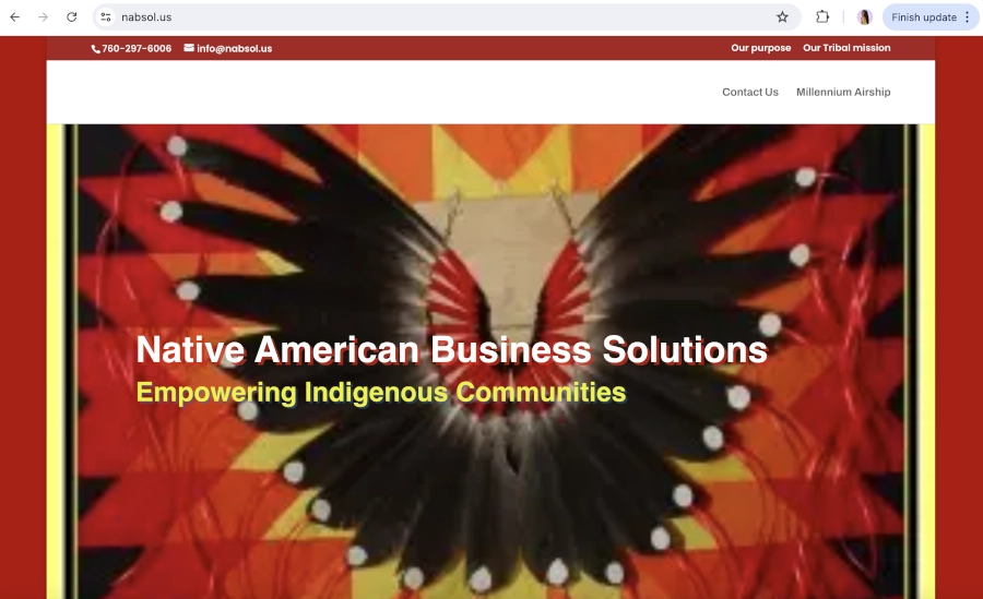 Screen Capture of NAPSol Homepage