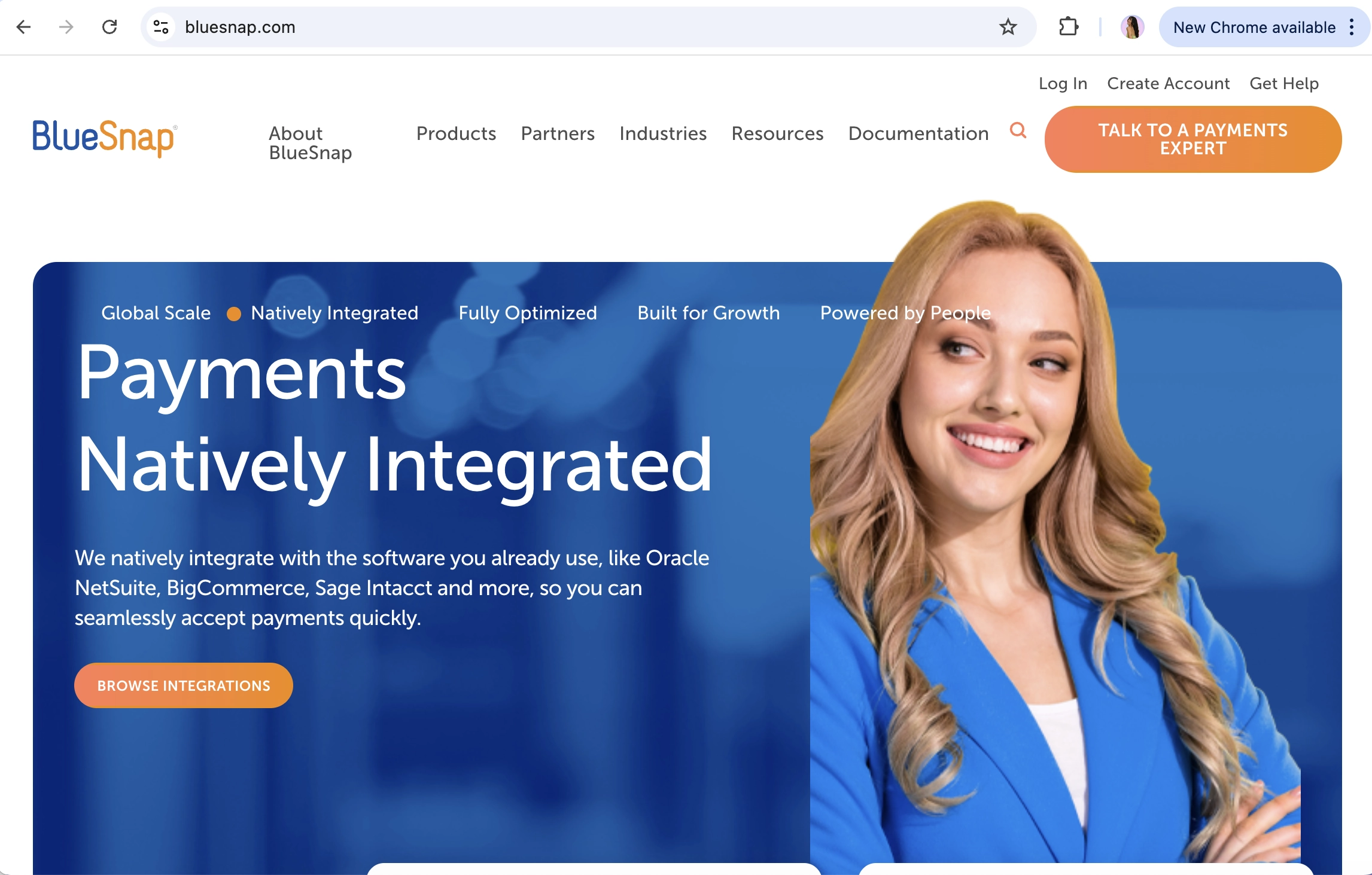 Screen Capture of BlueSnap Homepage
